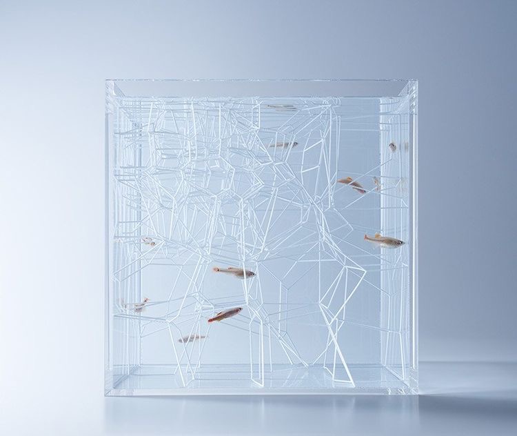 dekoarasi aquarium minimalis 3D