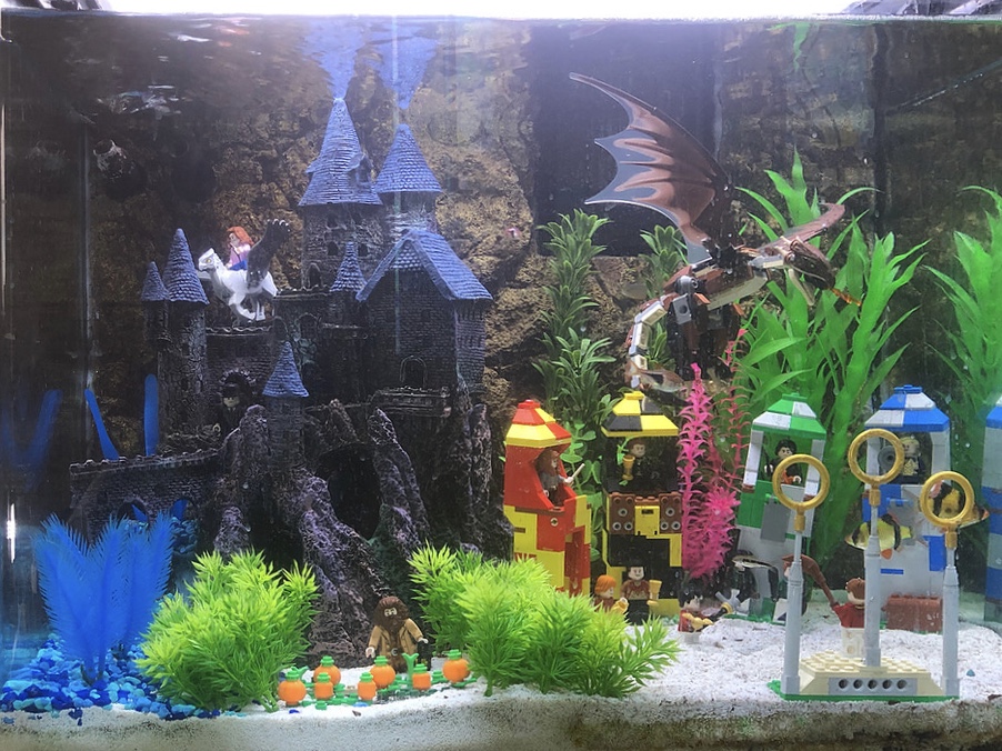 Dekorasi Aquarium Minimalis Quidditch World Cup