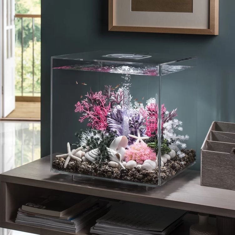 dekorasi aquarium minimalis bunga