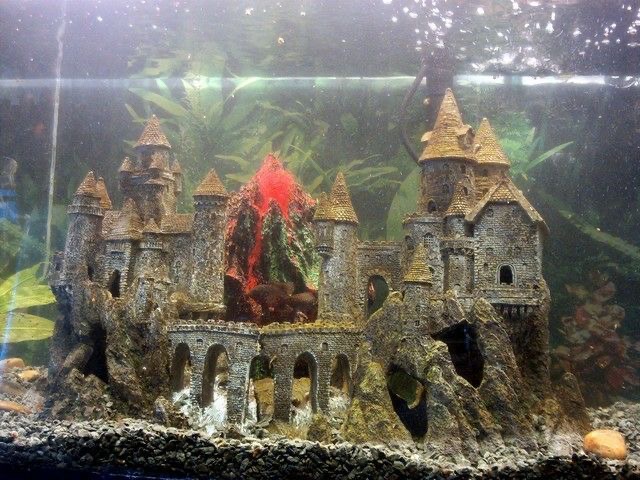 dekorasi aquarium minimalis kastil