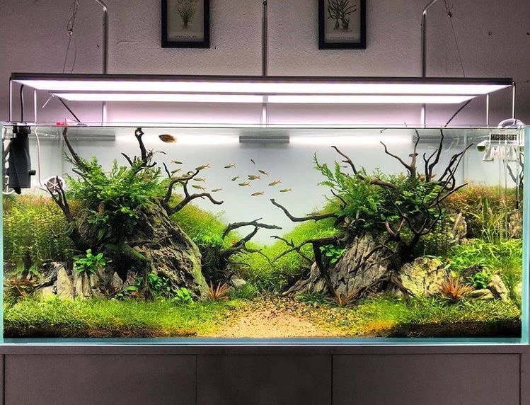 hiasan aquarium