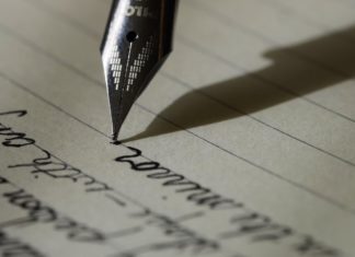 penulis novel terkenal