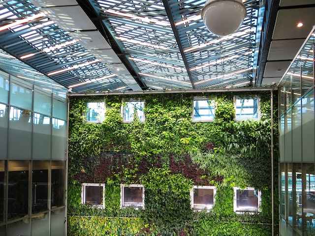 vertical garden