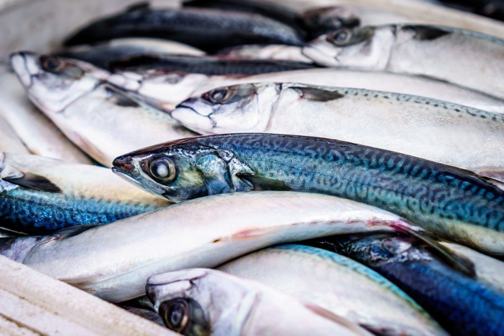 Ikan apa banyak mata