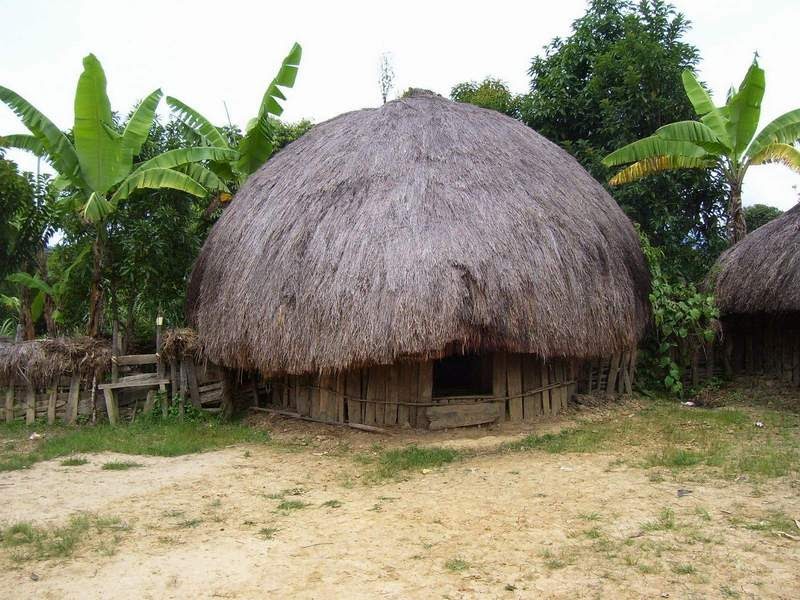rumah adat papua