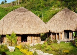 rumah adat papua