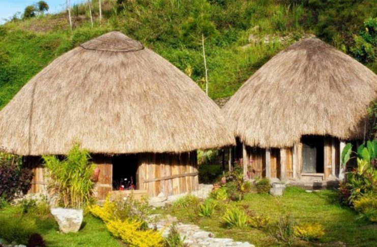 rumah adat papua