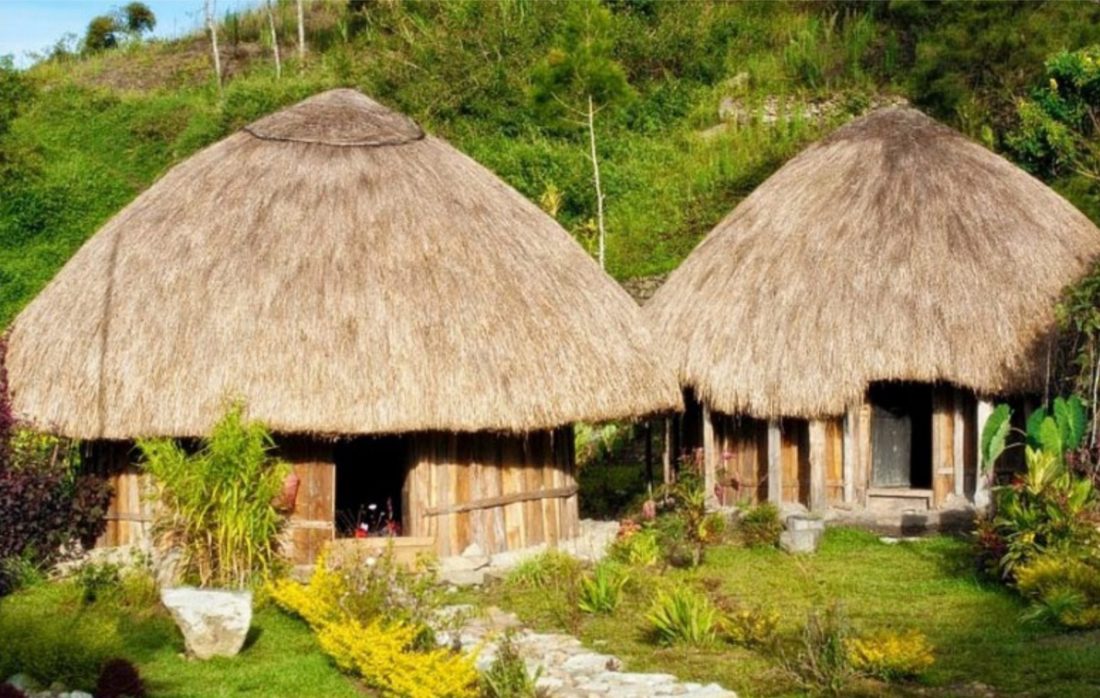 Rumah adat yang berasal dari papua adalah rumah