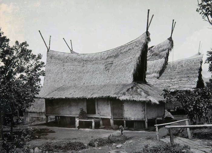 rumah adat papua