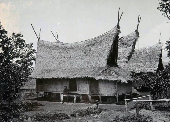 rumah adat papua