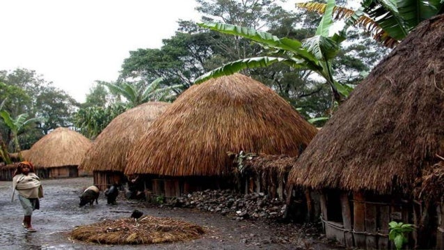 rumah adat papua