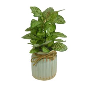 dekorasi interior tanaman