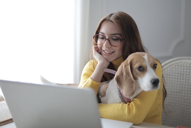 meninggalkan anjing di rumah