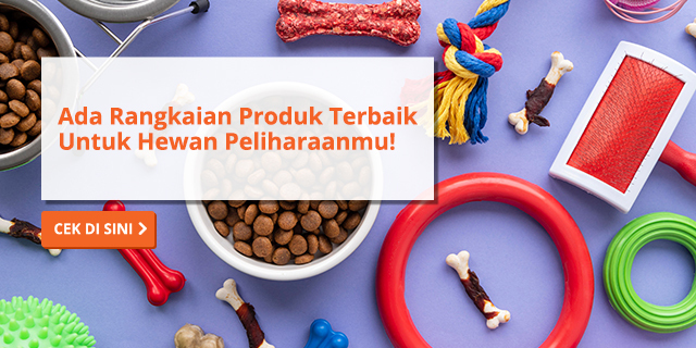 Banner_insp_Blog_640X320_Hewan Peliharaan