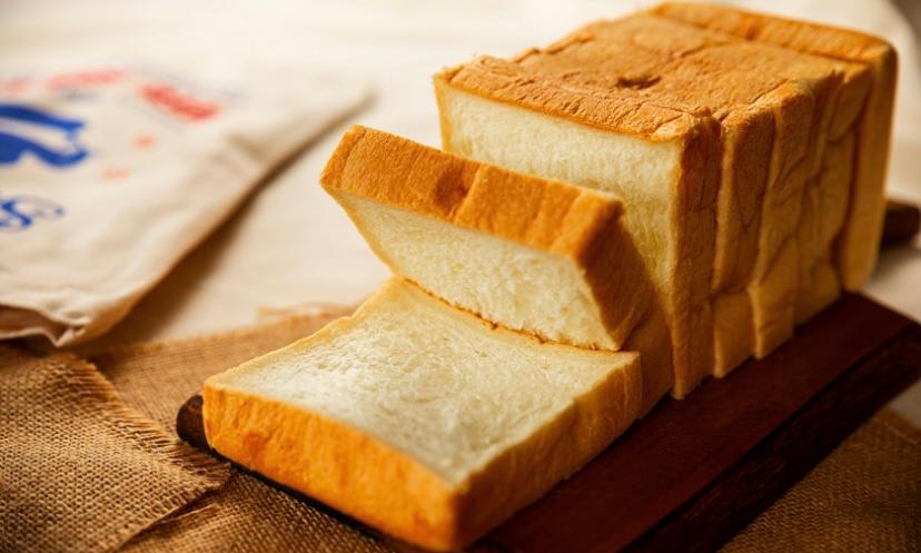 makanan anak anjing roti