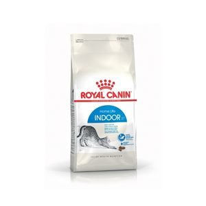 makanan kucing royal canin