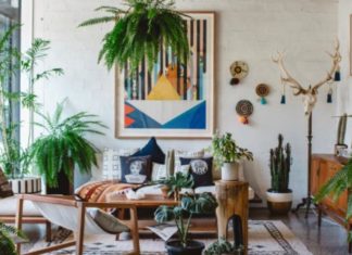 tanaman pembersih udara dalam ruangan