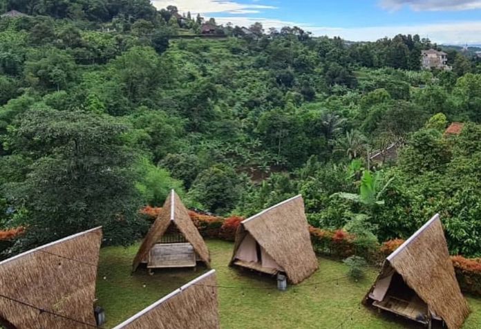 tempat glamping alangalang nature camp