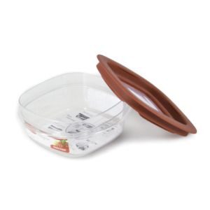 wadah makanan transparan