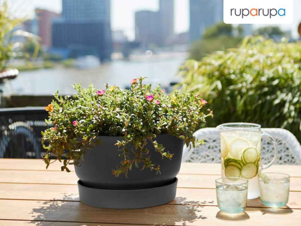 Tambahkan tanaman hijau di ruang kerja minimalis