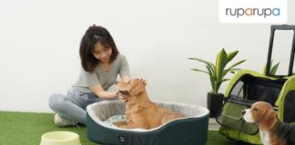 cara merawat anak anjing