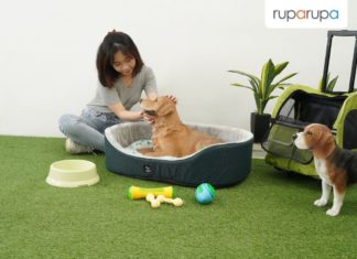 cara merawat anak anjing