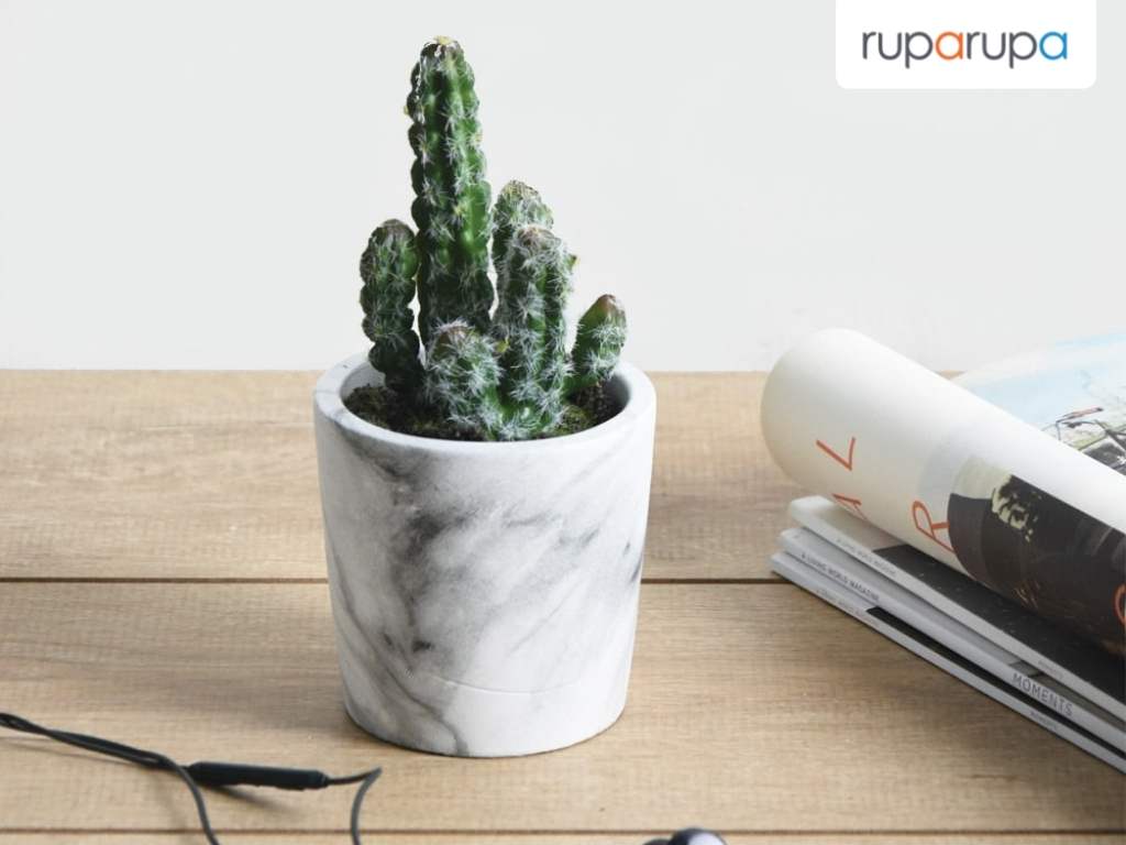Arthome 17 Cm Tanaman Artisial Kaktus Dengan Pot