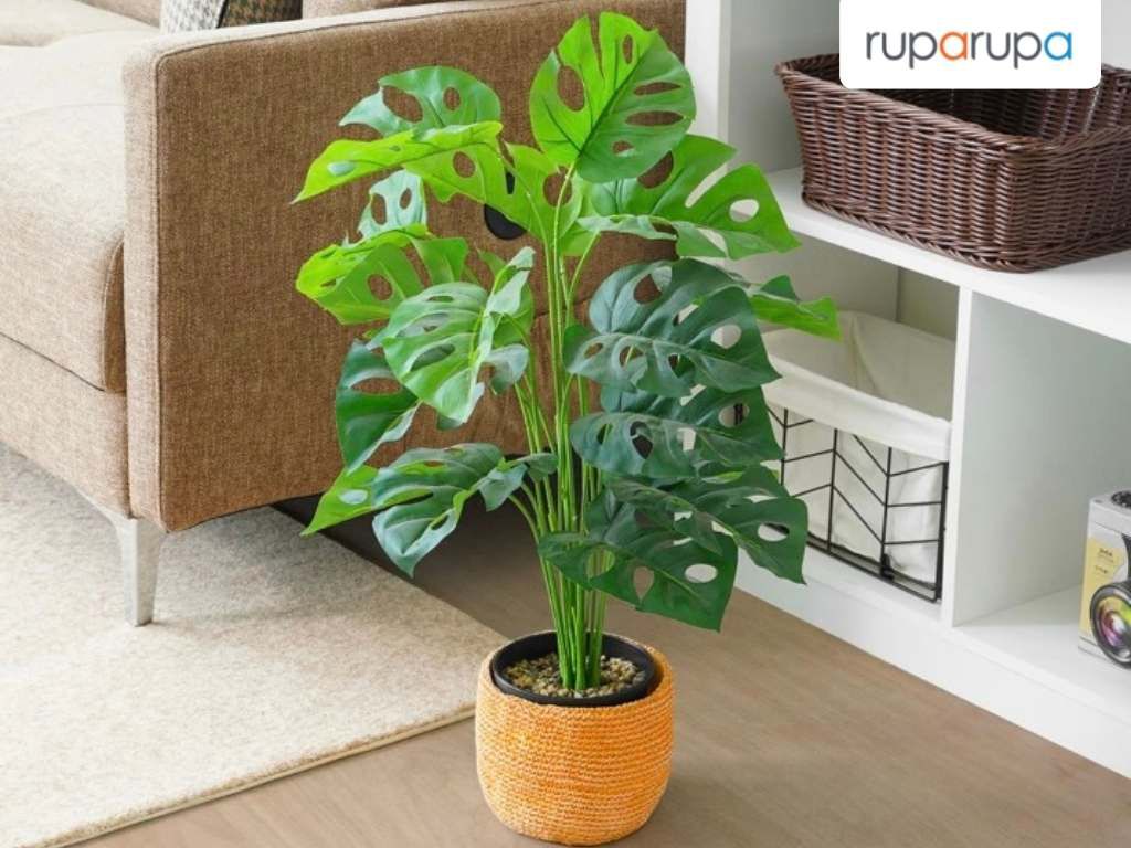Tanaman Artifisial 70 Cm Monstera Adansonii ruang tamu apartemen