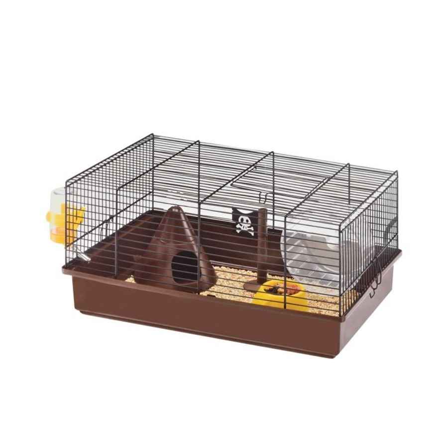 memelihara landak mini