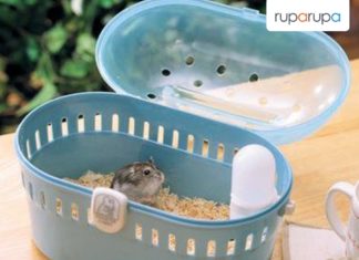 memilih kandang hamster