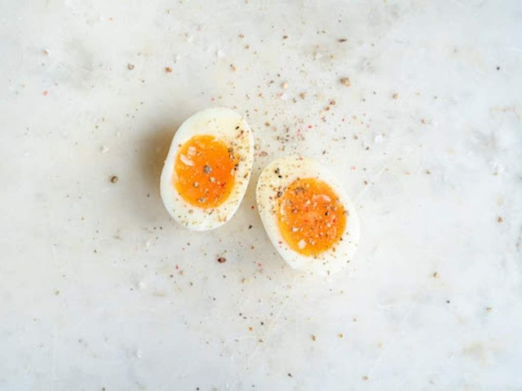 makanan rendah kalori telur
