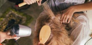 cara memilih sisir anjing