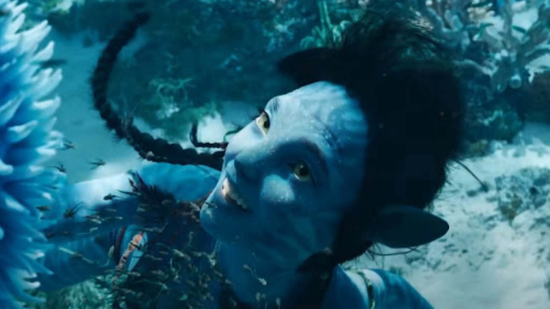 film avatar 2 di bawah air