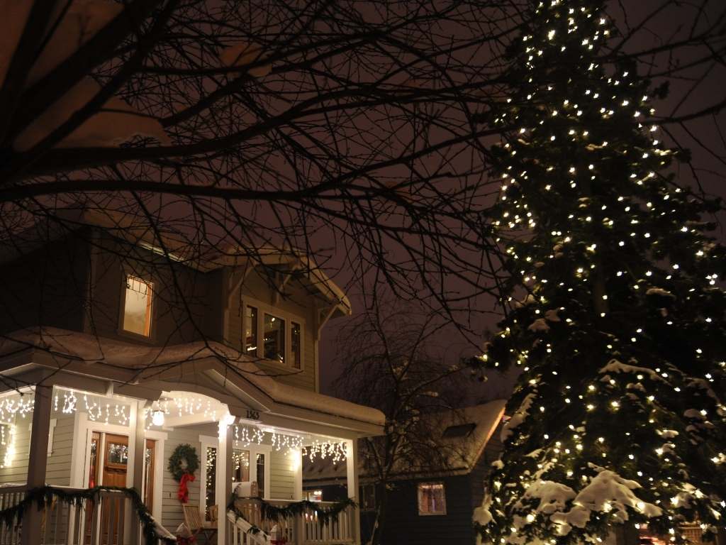 outdoor christmas tree