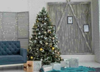 tips membeli pohon natal