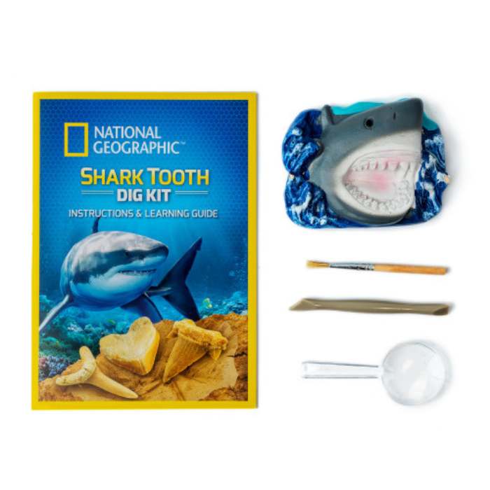 National Geographic Shark Tooth Dig Kitrtng41rtngsharkint