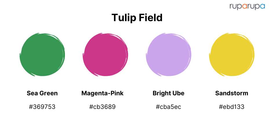 kombinasi warna magenta tulip