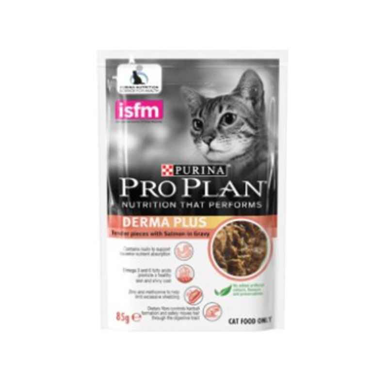 makanan kucing terjangkau