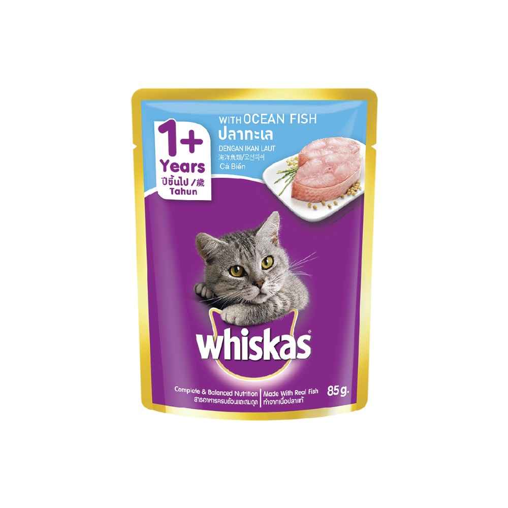 makanan kucing terjangkau