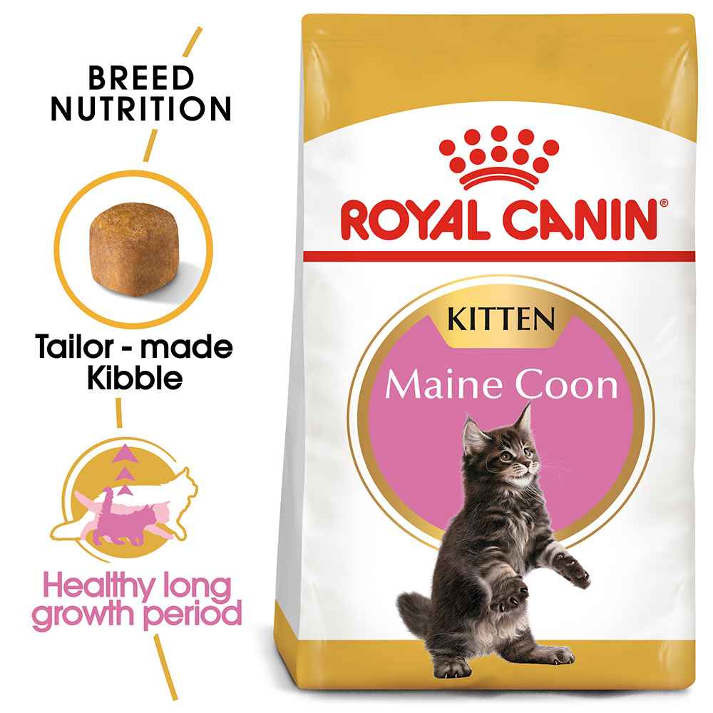 Royal Canin Maine Coon Kitten Dry Makanan Anak Kucing 2 Kg